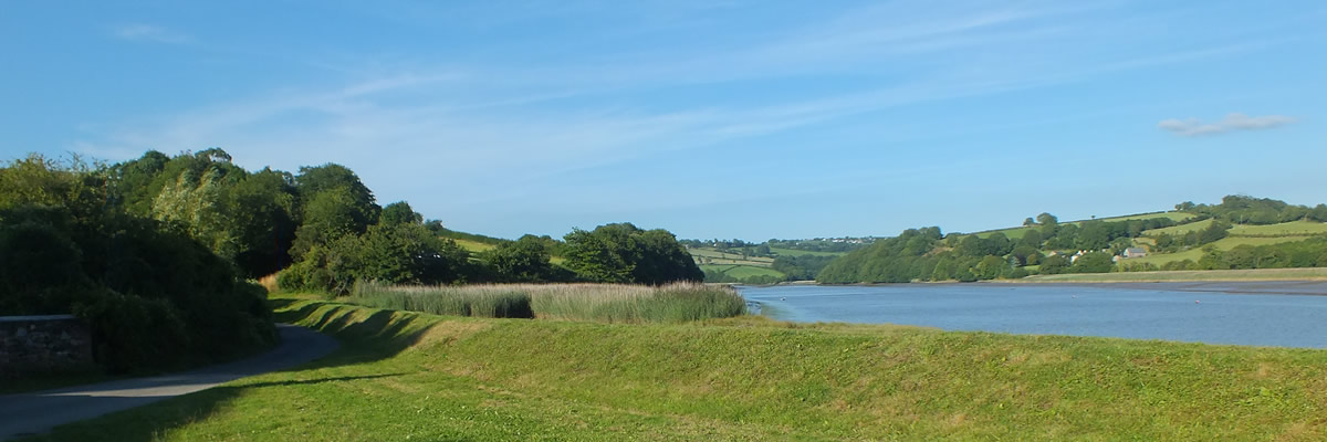 Views from Halton Quay